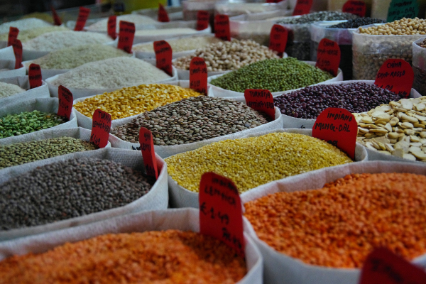 Dal